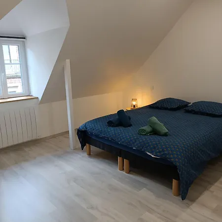 Beau Duplex Hyper Centre Apartment